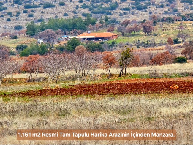 Denizli Bekilli Üçkuyu'nun En Güzel Konumunda 1.161 m2 Yatırımlık Tarla.