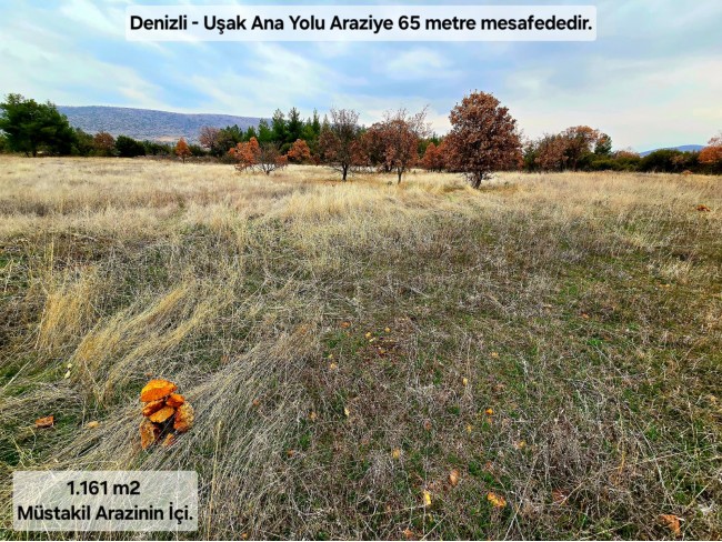 Denizli Bekilli Üçkuyu'nun En Güzel Konumunda 1.161 m2 Yatırımlık Tarla.