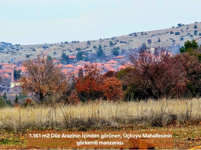 Denizli Bekilli Üçkuyu'nun En Güzel Konumunda 1.161 m2 Yatırımlık Tarla.