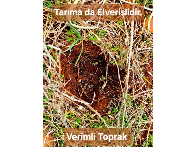 Denizli Bekilli Üçkuyu'nun En Güzel Konumunda 1.161 m2 Yatırımlık Tarla.