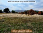 Denizli Bekilli Üçkuyu'nun En Güzel Konumunda 1.161 m2 Yatırımlık Tarla.
