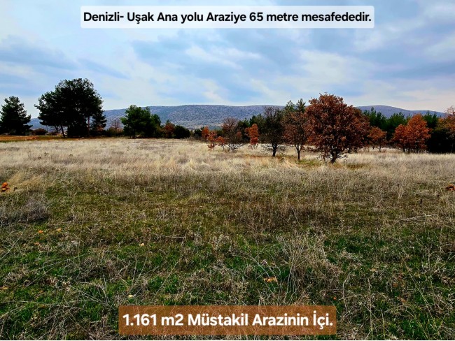 Denizli Bekilli Üçkuyu'nun En Güzel Konumunda 1.161 m2 Yatırımlık Tarla.