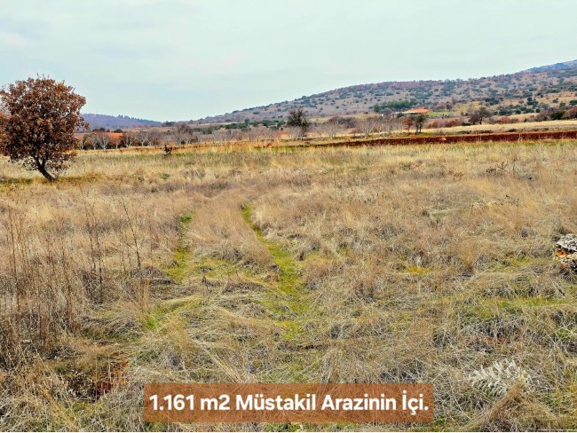 Denizli Bekilli Üçkuyu'nun En Güzel Konumunda 1.161 m2 Yatırımlık Tarla.