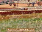 Denizli Bekilli Üçkuyu'nun En Güzel Konumunda 1.161 m2 Yatırımlık Tarla.