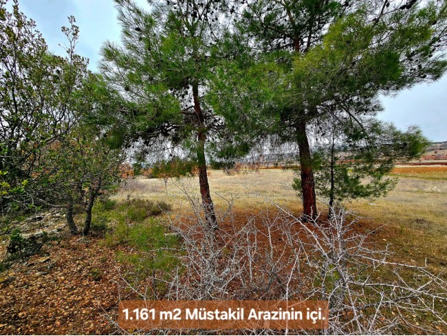 Denizli Bekilli Üçkuyu'nun En Güzel Konumunda 1.161 m2 Yatırımlık Tarla.
