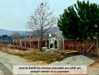 Denizli Bekilli Üçkuyu'nun En Güzel Konumunda 1.161 m2 Yatırımlık Tarla.
