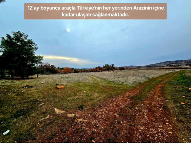 Denizli Bekilli Üçkuyu'nun En Güzel Konumunda 1.161 m2 Yatırımlık Tarla.