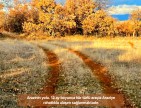 Uşak Karahallı Külköyde 1.207 m2 Organize Sanayi, İlçe, Mahalle Manzaralı Tarla. Açıklamayı Okuyunuz