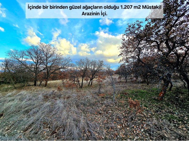 Uşak Karahallı Külköyde 1.207 m2 Organize Sanayi, İlçe, Mahalle Manzaralı Tarla. Açıklamayı Okuyunuz