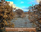 Uşak Karahallı Külköyde 1.207 m2 Organize Sanayi, İlçe, Mahalle Manzaralı Tarla. Açıklamayı Okuyunuz