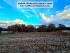 Uşak Karahallı Külköyde 1.207 m2 Organize Sanayi, İlçe, Mahalle Manzaralı Tarla. Açıklamayı Okuyunuz
