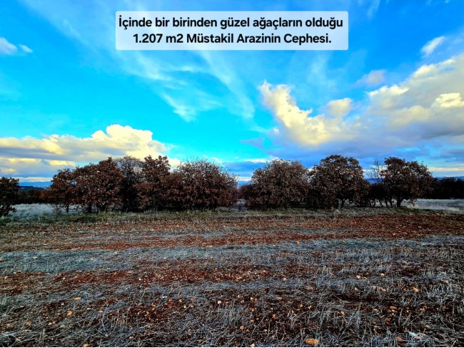 Uşak Karahallı Külköyde 1.207 m2 Organize Sanayi, İlçe, Mahalle Manzaralı Tarla. Açıklamayı Okuyunuz