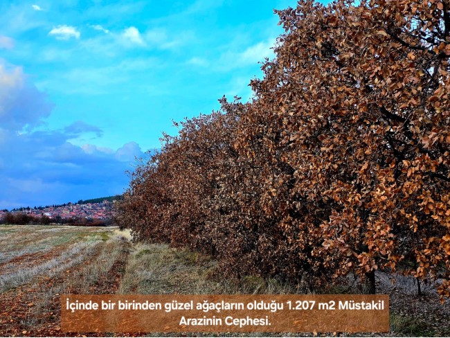 Uşak Karahallı Külköyde 1.207 m2 Organize Sanayi, İlçe, Mahalle Manzaralı Tarla. Açıklamayı Okuyunuz