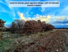 Uşak Karahallı Külköyde 1.207 m2 Organize Sanayi, İlçe, Mahalle Manzaralı Tarla. Açıklamayı Okuyunuz