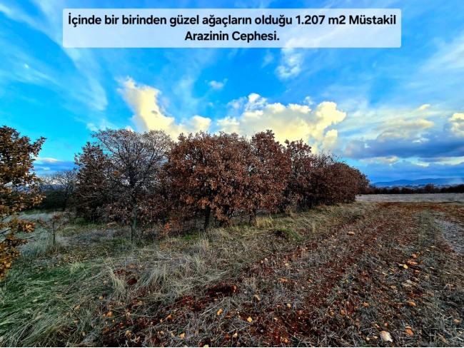 Uşak Karahallı Külköyde 1.207 m2 Organize Sanayi, İlçe, Mahalle Manzaralı Tarla. Açıklamayı Okuyunuz
