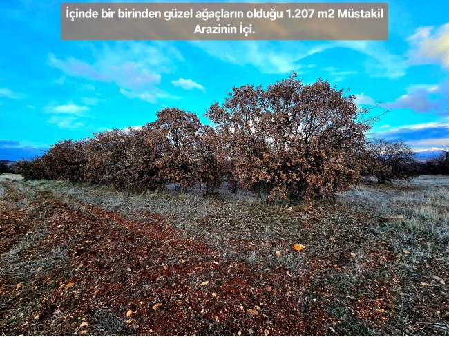 Uşak Karahallı Külköyde 1.207 m2 Organize Sanayi, İlçe, Mahalle Manzaralı Tarla. Açıklamayı Okuyunuz