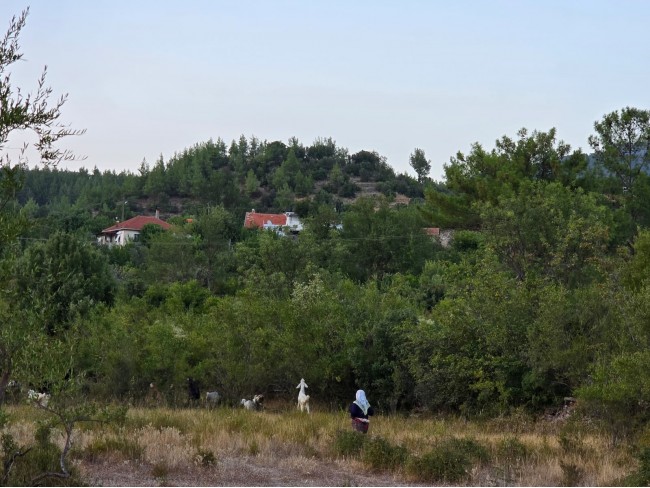 Antalya Manavgat Yeşilbağ'da 95 m2 Köy İçi Bahçe. Açıklamayı Okuyarak Arayınız.