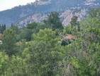 Antalya Manavgat Yeşilbağ'da 95 m2 Köy İçi Bahçe. Açıklamayı Okuyarak Arayınız.