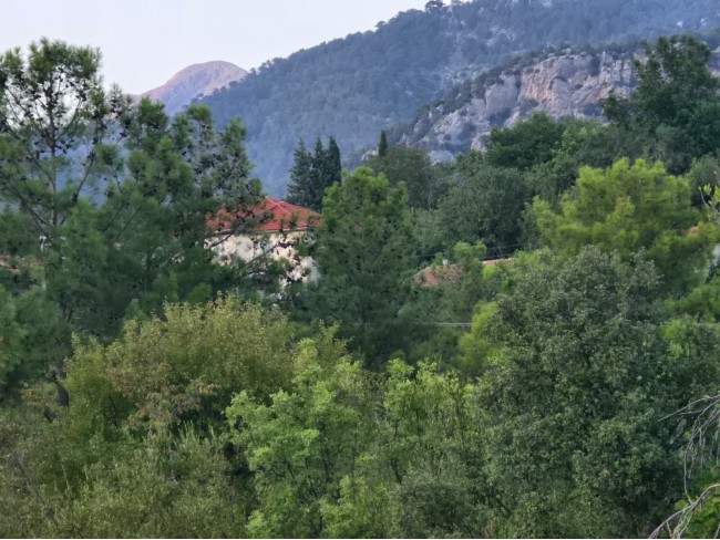 Antalya Manavgat Yeşilbağ'da 95 m2 Köy İçi Bahçe. Açıklamayı Okuyarak Arayınız.