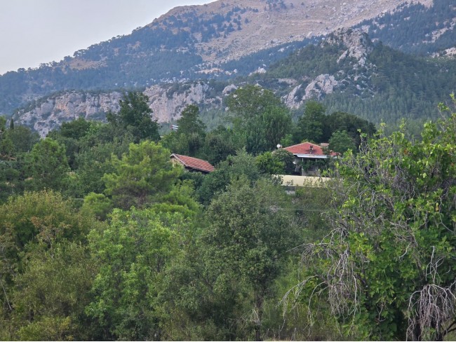 Antalya Manavgat Yeşilbağ'da 95 m2 Köy İçi Bahçe. Açıklamayı Okuyarak Arayınız.