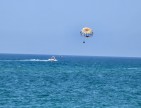 Antalya Manavgat Yeşilbağ'da 95 m2 Köy İçi Bahçe. Açıklamayı Okuyarak Arayınız.