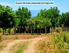 Uşak Ulubey Büyükkayalı'da %40 İmarlı 1.181 m2 Yolu Olan Kupon Arsa. Açıklamayı Okuyarak Arayınız.