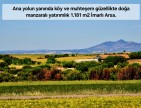 Uşak Ulubey Büyükkayalı'da %40 İmarlı 1.181 m2 Yolu Olan Kupon Arsa. Açıklamayı Okuyarak Arayınız.
