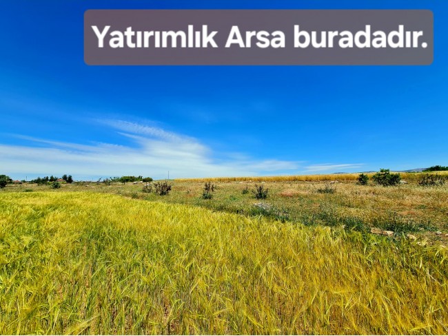 Uşak Ulubey Büyükkayalı'da %40 İmarlı 1.181 m2 Yolu Olan Kupon Arsa. Açıklamayı Okuyarak Arayınız.