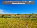 Uşak Ulubey Büyükkayalı'da %40 İmarlı 1.181 m2 Yolu Olan Kupon Arsa. Açıklamayı Okuyarak Arayınız.