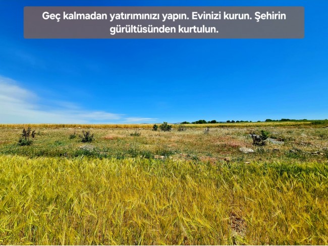 Uşak Ulubey Büyükkayalı'da %40 İmarlı 1.181 m2 Yolu Olan Kupon Arsa. Açıklamayı Okuyarak Arayınız.