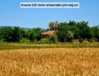 Uşak Ulubey Büyükkayalı'da %40 İmarlı 1.181 m2 Yolu Olan Kupon Arsa. Açıklamayı Okuyarak Arayınız.