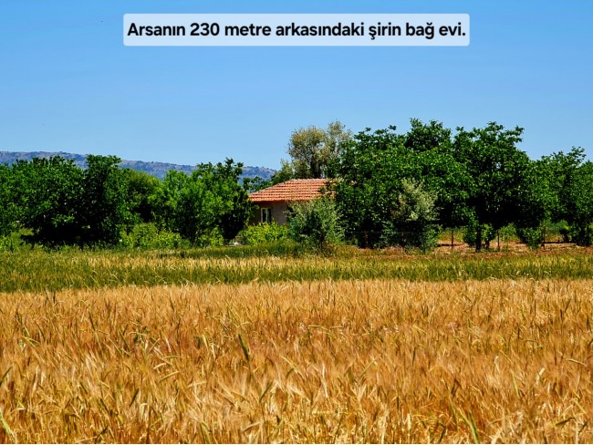 Uşak Ulubey Büyükkayalı'da %40 İmarlı 1.181 m2 Yolu Olan Kupon Arsa. Açıklamayı Okuyarak Arayınız.