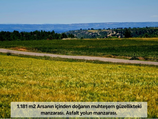 Uşak Ulubey Büyükkayalı'da %40 İmarlı 1.181 m2 Yolu Olan Kupon Arsa. Açıklamayı Okuyarak Arayınız.