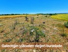 Uşak Ulubey Büyükkayalı'da %40 İmarlı 1.181 m2 Yolu Olan Kupon Arsa. Açıklamayı Okuyarak Arayınız.