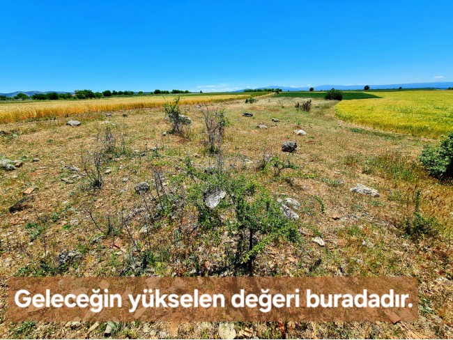 Uşak Ulubey Büyükkayalı'da %40 İmarlı 1.181 m2 Yolu Olan Kupon Arsa. Açıklamayı Okuyarak Arayınız.