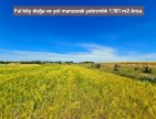 Uşak Ulubey Büyükkayalı'da %40 İmarlı 1.181 m2 Yolu Olan Kupon Arsa. Açıklamayı Okuyarak Arayınız.