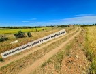 Uşak Ulubey Büyükkayalı'da %40 İmarlı 1.181 m2 Yolu Olan Kupon Arsa. Açıklamayı Okuyarak Arayınız.