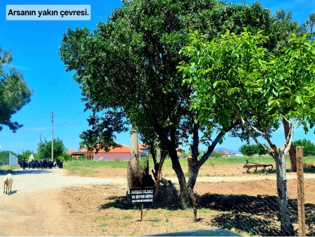 Uşak Ulubey Büyükkayalı'da %40 İmarlı 1.181 m2 Yolu Olan Kupon Arsa. Açıklamayı Okuyarak Arayınız.