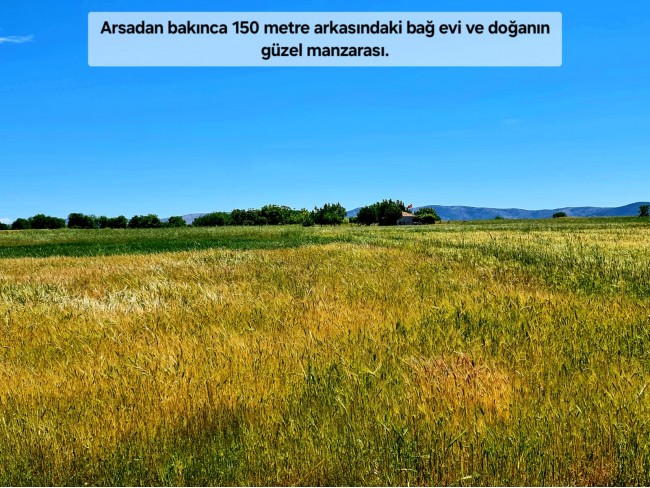 Uşak Ulubey Büyükkayalı'da %40 İmarlı 1.181 m2 Yolu Olan Kupon Arsa. Açıklamayı Okuyarak Arayınız.