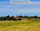 Uşak Ulubey Büyükkayalı'da %40 İmarlı 1.181 m2 Yolu Olan Kupon Arsa. Açıklamayı Okuyarak Arayınız.