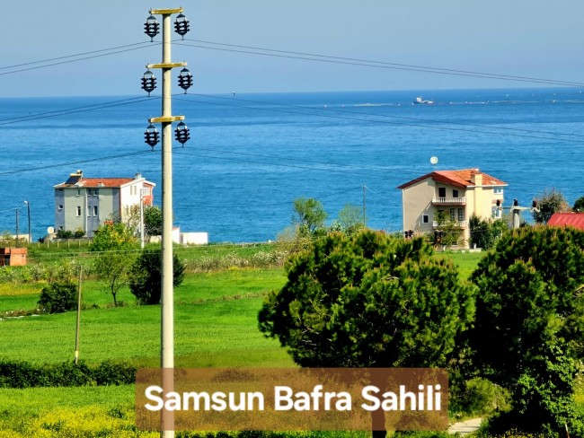 Samsun Bafra Komşupınar'da Denize Köye Yakın 1.143 m2 Çok Uygun Arazi. Açıklamayı Okuyunuz.