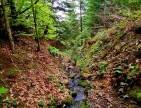 Samsun Bafra Komşupınar'da Denize Köye Yakın 1.143 m2 Çok Uygun Arazi. Açıklamayı Okuyunuz.