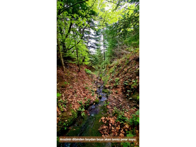 Samsun Bafra Komşupınar'da Denize Köye Yakın 1.143 m2 Çok Uygun Arazi. Açıklamayı Okuyunuz.
