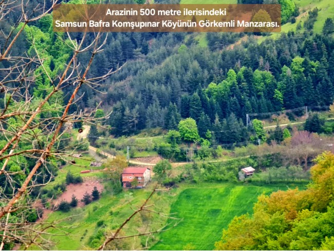 Samsun Bafra Komşupınar'da Denize Köye Yakın 1.143 m2 Çok Uygun Arazi. Açıklamayı Okuyunuz.
