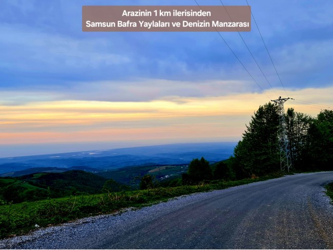 Samsun Bafra Komşupınar'da Denize Köye Yakın 1.143 m2 Çok Uygun Arazi. Açıklamayı Okuyunuz.