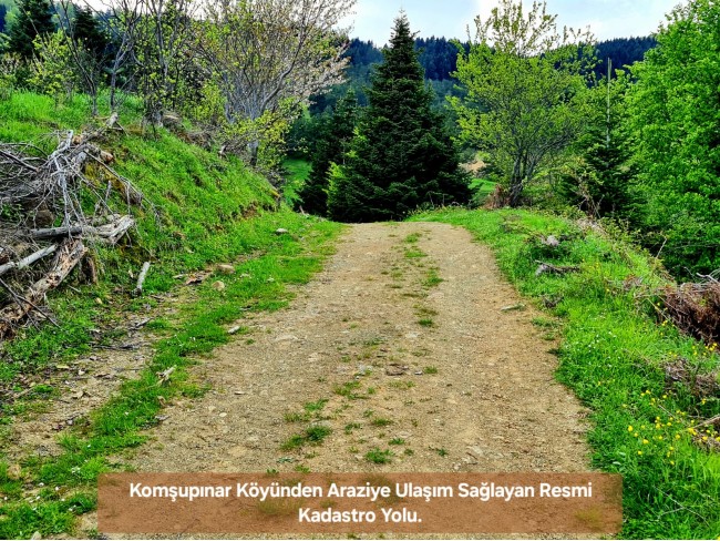 Samsun Bafra Komşupınar'da Denize Köye Yakın 1.143 m2 Çok Uygun Arazi. Açıklamayı Okuyunuz.