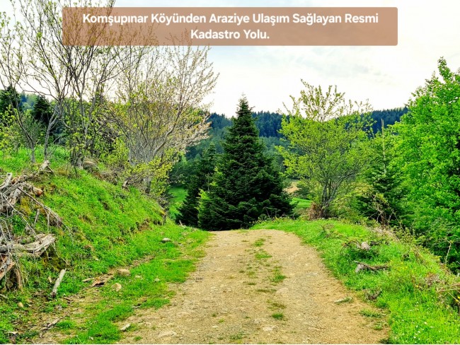 Samsun Bafra Komşupınar'da Denize Köye Yakın 1.143 m2 Çok Uygun Arazi. Açıklamayı Okuyunuz.
