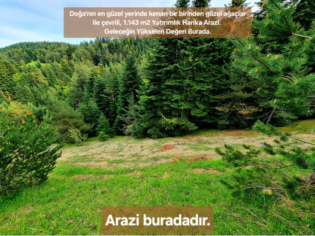 Samsun Bafra Komşupınar'da Denize Köye Yakın 1.143 m2 Çok Uygun Arazi. Açıklamayı Okuyunuz.