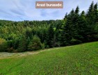 Samsun Bafra Komşupınar'da Denize Köye Yakın 1.143 m2 Çok Uygun Arazi. Açıklamayı Okuyunuz.