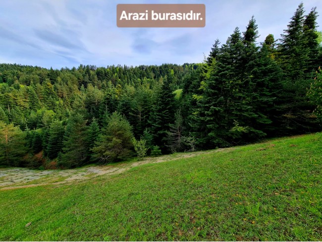 Samsun Bafra Komşupınar'da Denize Köye Yakın 1.143 m2 Çok Uygun Arazi. Açıklamayı Okuyunuz.
